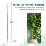 7MM Width Bendable Coir Pole for Climbing Plants Growth(160cm)