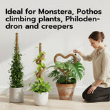 2 Pieces 4MM Width Bendable Coir Pole for Climbing Plants Growth(60cm)