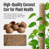 4 Pcs 60cm Stackable Pole Coir Pole for Climbing Plants Growth- Wood Version