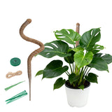 2 Pcs 4MM Width Bendable Coir Pole for Climbing Plants Growth-Bending Version(80cm)