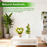 2 Pcs 4MM Width Bendable Coir Pole for Climbing Plants Growth-Bending Version(80cm)