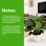 2 Pcs 4MM Width Bendable Coir Pole for Climbing Plants Growth-Bending Version(80cm)