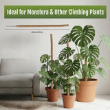 2 Pcs 4MM Width Bendable Coir Pole for Climbing Plants Growth-Bending Version(100cm)