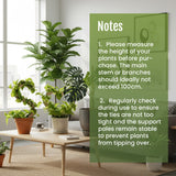 2 Pcs 4MM Width Bendable Coir Pole for Climbing Plants Growth-Bending Version(100cm)