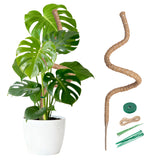 4MM Width Bendable Coir Pole for Climbing Plants Growth-Bending Version(150cm)