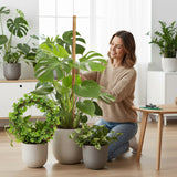 2 Pieces 7MM Width Bendable Coir Pole for Climbing Plants Growth(120cm)