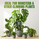 2 Pieces 7MM Width Bendable Coir Pole for Climbing Plants Growth(160cm)