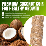 2 Pieces 7MM Width Bendable Coir Pole for Climbing Plants Growth(160cm)