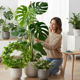 2 Pieces 7MM Width Bendable Coir Pole for Climbing Plants Growth(160cm)